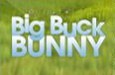 Big Buck Bunny